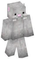 Skinfile