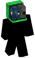 Skinfile