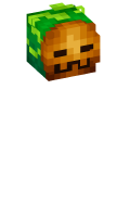 Skinfile