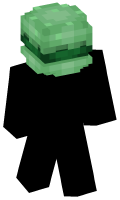 Skinfile