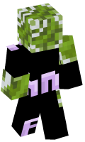 Skinfile