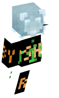 Skinfile