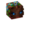 Skinfile
