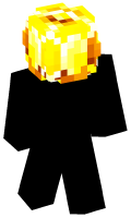 Skinfile