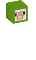 Skinfile