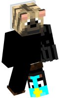 Skinfile