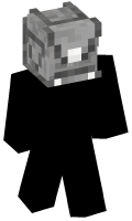 Skinfile