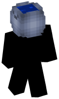 Skinfile