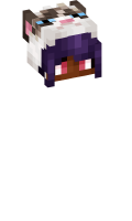 Skinfile