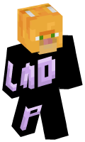 Skinfile