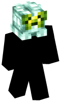 Skinfile
