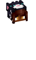 Skinfile