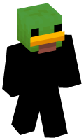 Skinfile