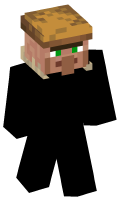 Skinfile