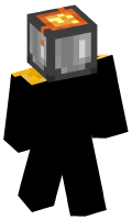 Skinfile