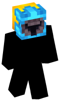 Skinfile