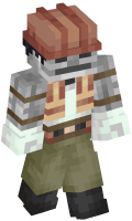 Skinfile
