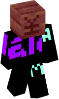 Skinfile