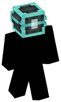 Skinfile