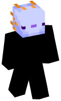Skinfile