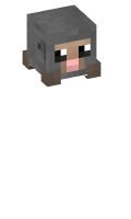 Skinfile