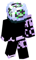 Skinfile