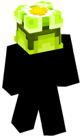 Skinfile