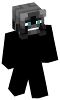Skinfile