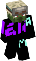 Skinfile