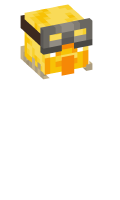 Skinfile