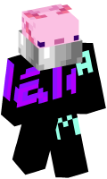 Skinfile