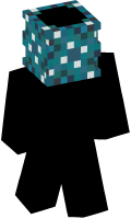 Skinfile