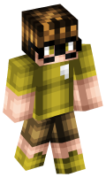 Skinfile