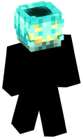 Skinfile