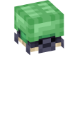 Skinfile