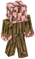 Skinfile