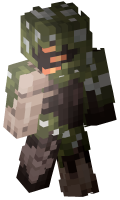 Skinfile