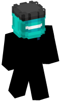 Skinfile