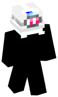 Skinfile