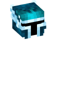 Skinfile