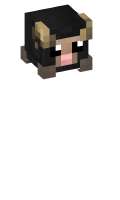 Skinfile