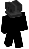 Skinfile