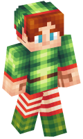 Skinfile