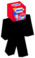 Skinfile