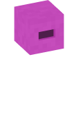 Skinfile