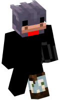 Skinfile
