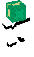 Skinfile