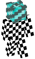 Skinfile