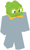 Skinfile