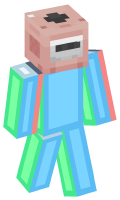 Skinfile